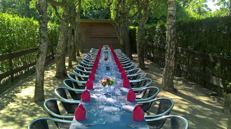 Lange feesttafel met roze servetten en bloemen onder de bomen